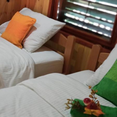 Apartman Orlovo Oko Mandici Luaran gambar